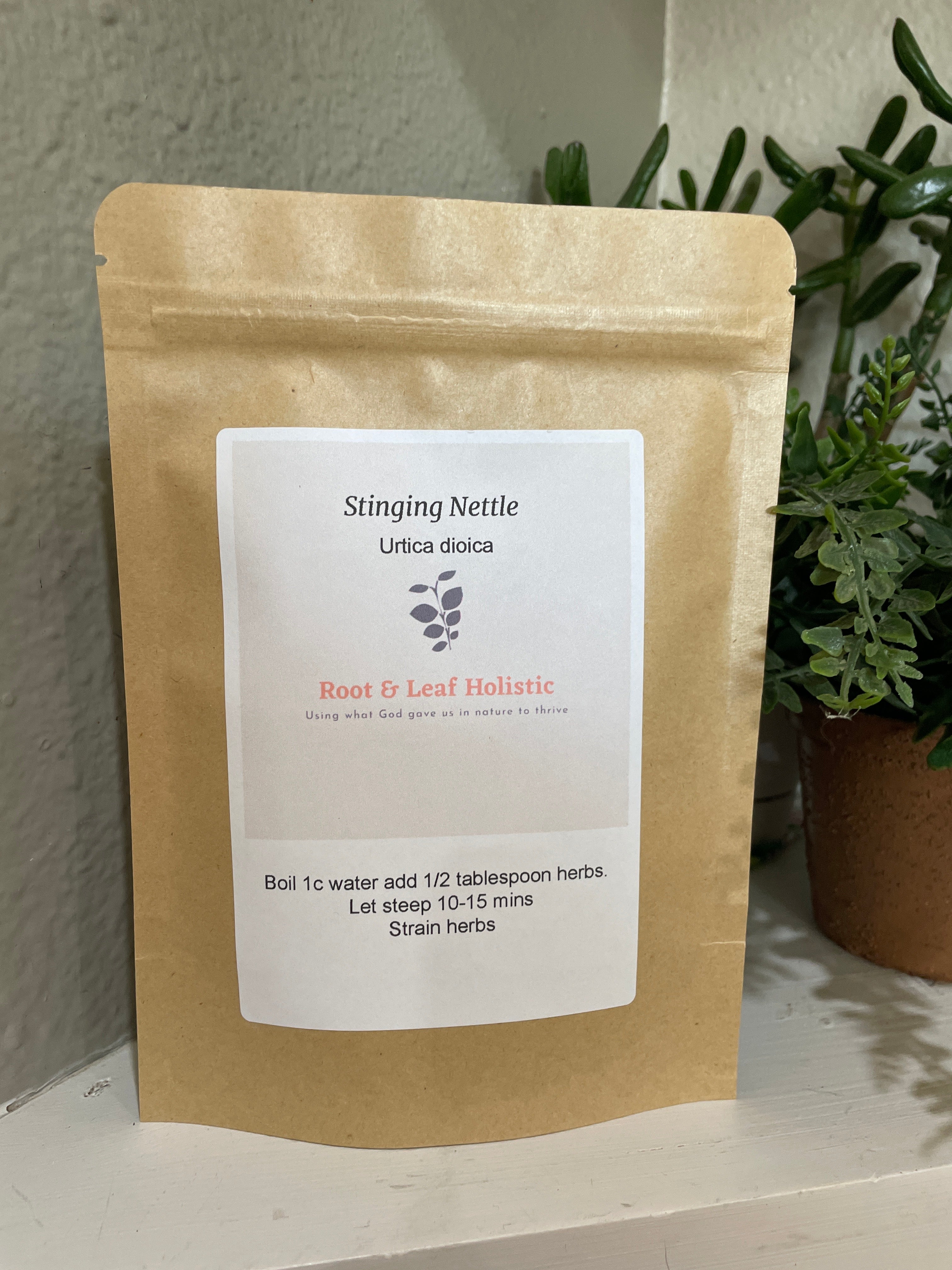 Stinging Nettle
